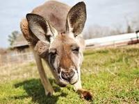 TGR Exotics Wildlife Park