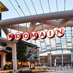 The Domain