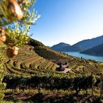 La Dolce Vita zwischendurch