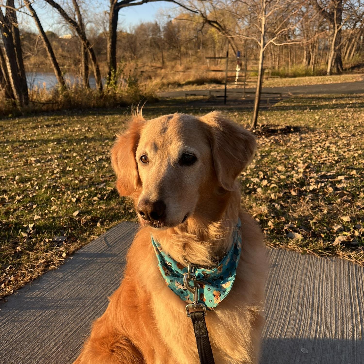 Our best friend