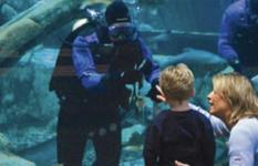 Great Lakes Aquarium