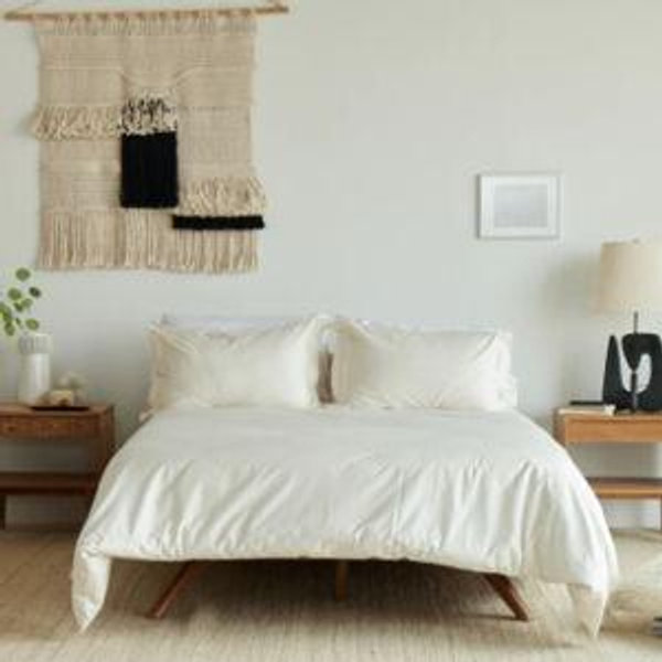 Cotton Duvet Cover - Queen (Color: Natural))