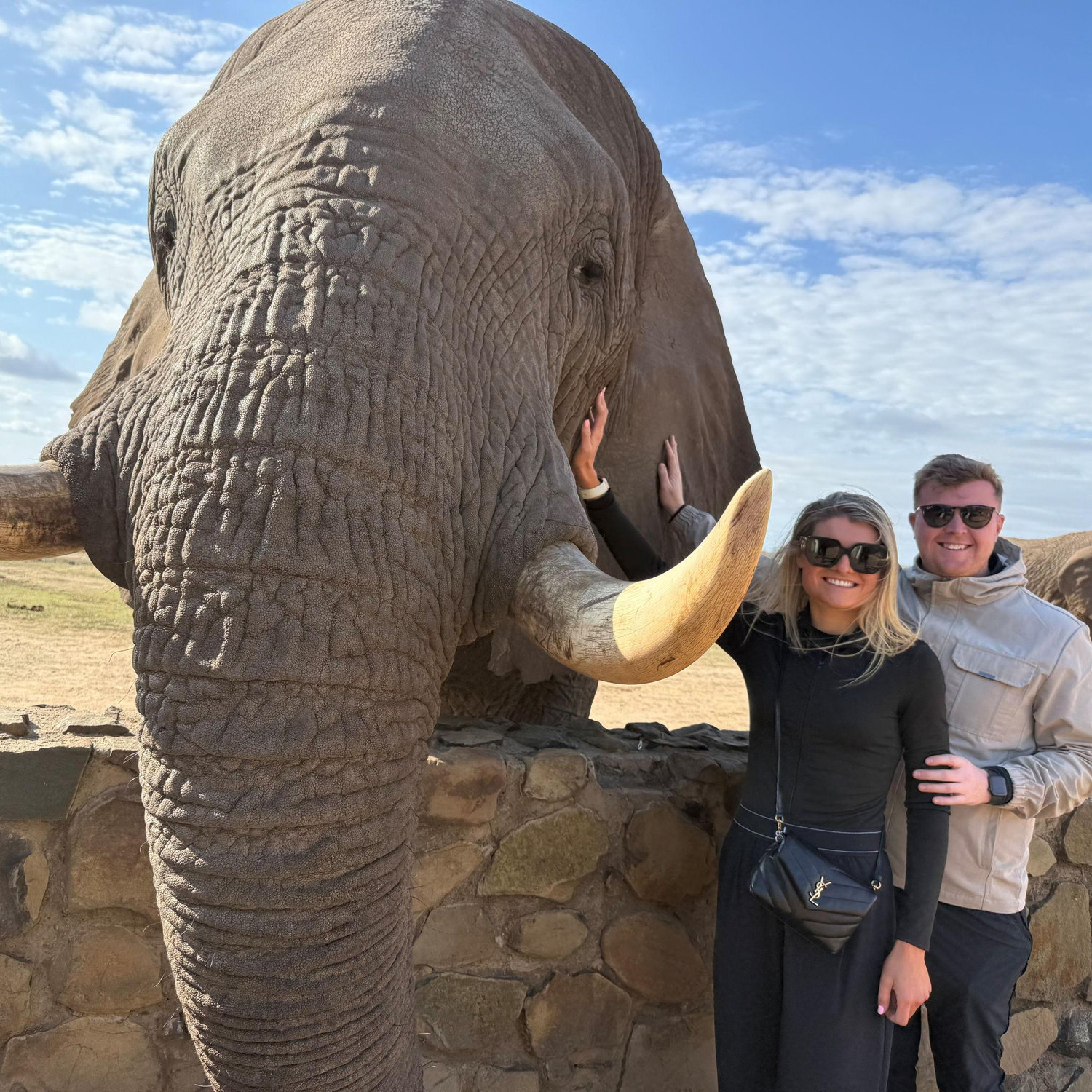 Safari, South Africa 2025