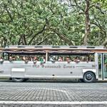 Old Savannah Tours