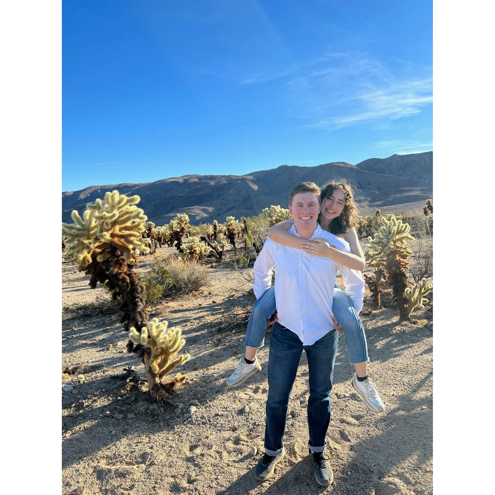 Joshua Tree