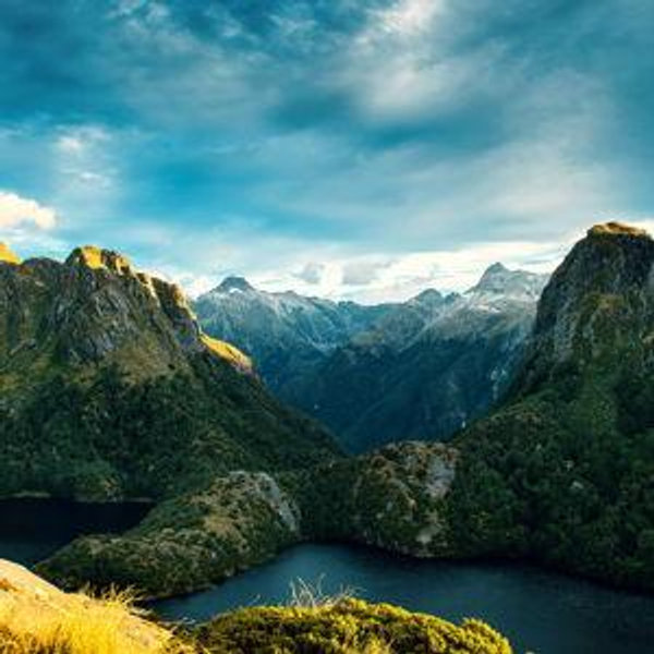 Honeymoon Fund - New Zealand!