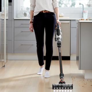 ICONPet Pro Cordless