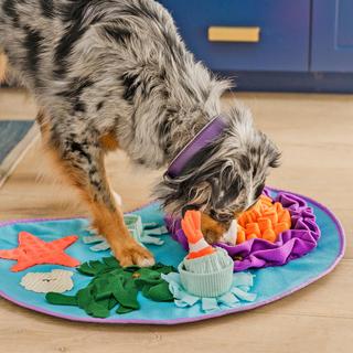 Coral Cove Snuffle Mat