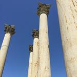 United States National Arboretum