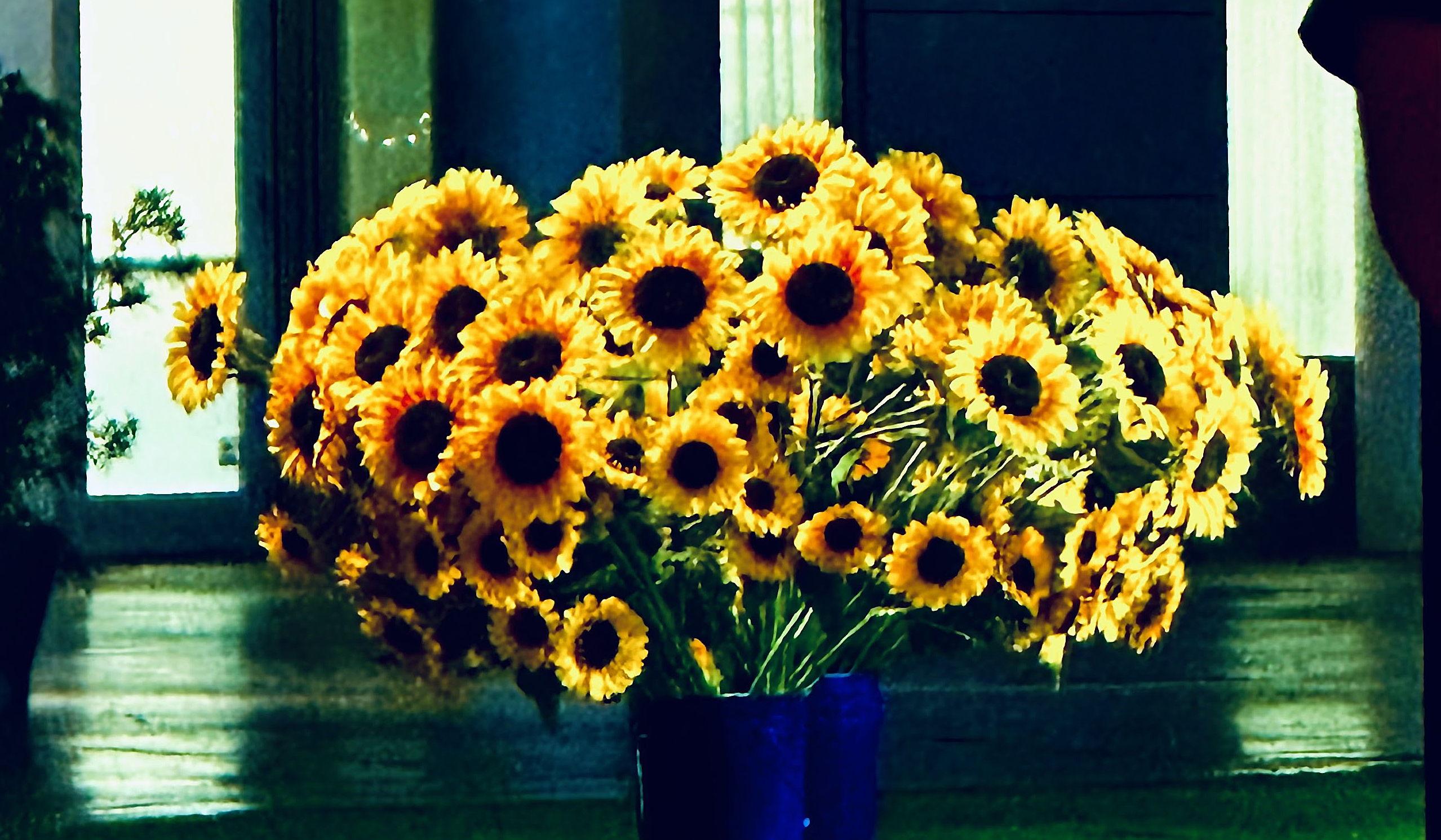 Footer image
