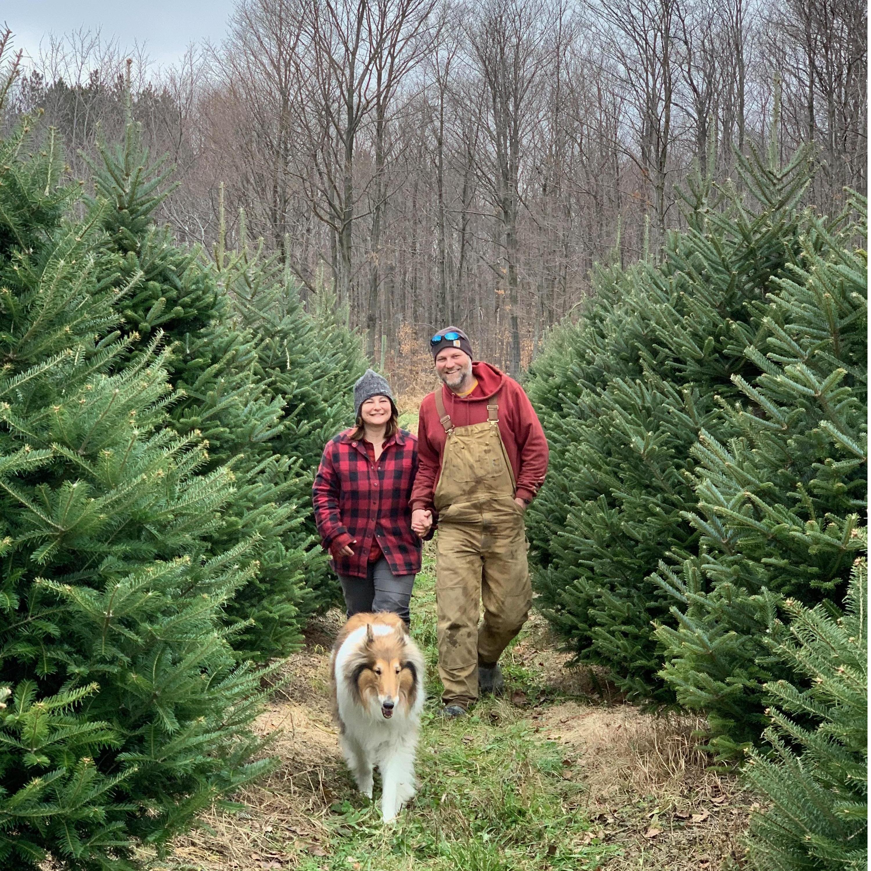 Picking out Christmas Trees