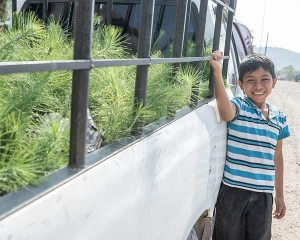Get Trees Planted Where They're Needed Most