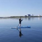 Rent a Kayak or SUP
