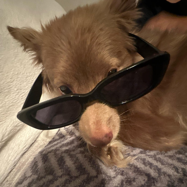 Teddy’s Toy Fund