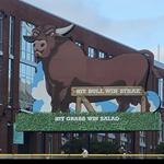 Durham Bulls Athletic Park