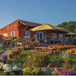Market & Cafe at Emery Farm