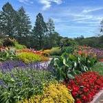 Minnesota Landscape Arboretum