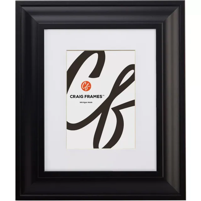 Craig Frames Contemporary Upscale 20x24 inch Satin Black Single Image Picture Frame Matted for a 16x20 Photo