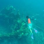 Skeleton Shipwreck