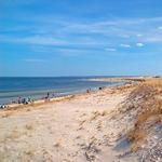Crane Beach
