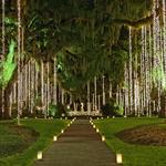 Brookgreen Gardens