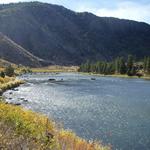 Madison River