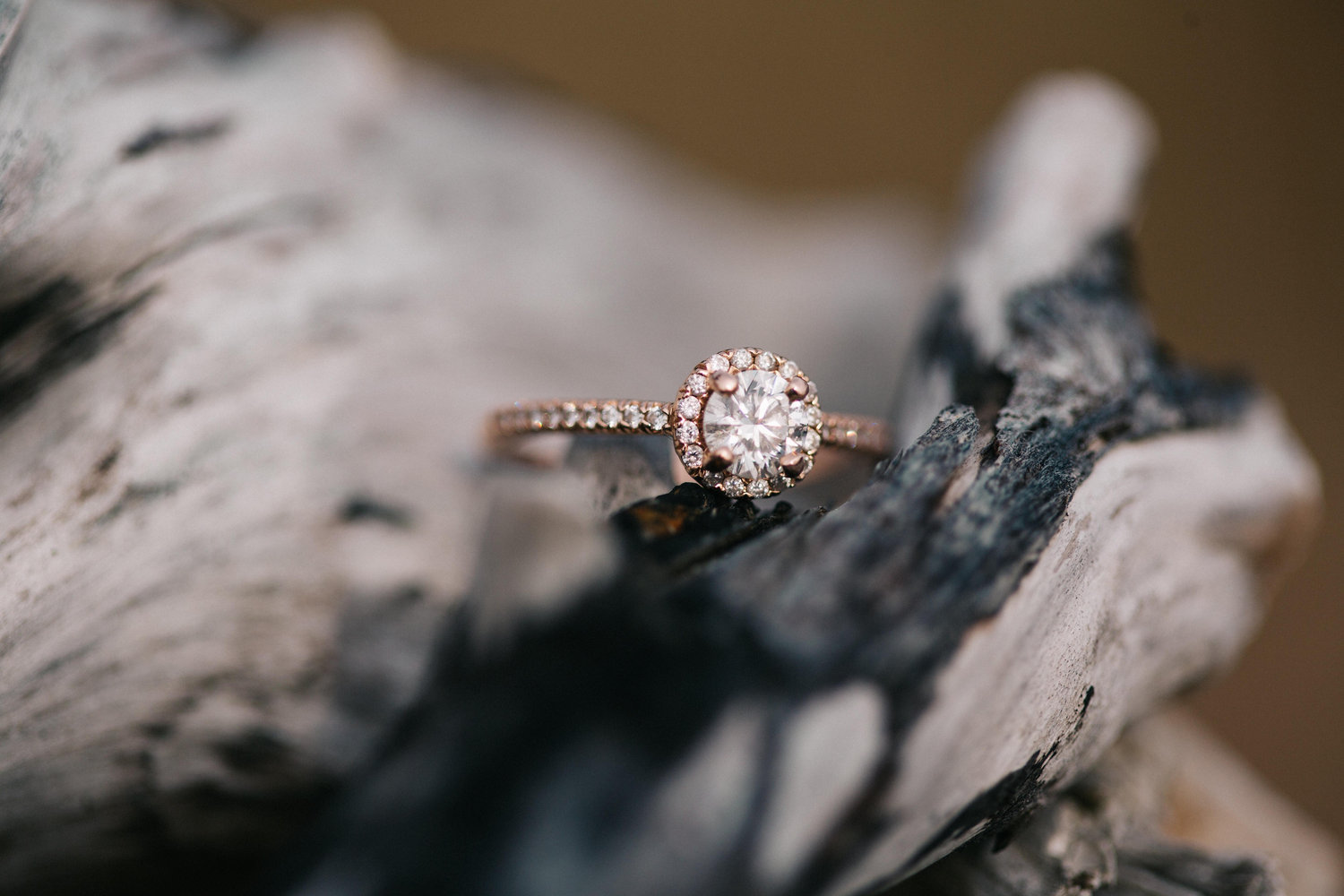 The Wedding Website of Rachel Bernhardt and David Balmforth