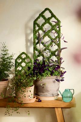 Mossy Diamond Lattice Trellis