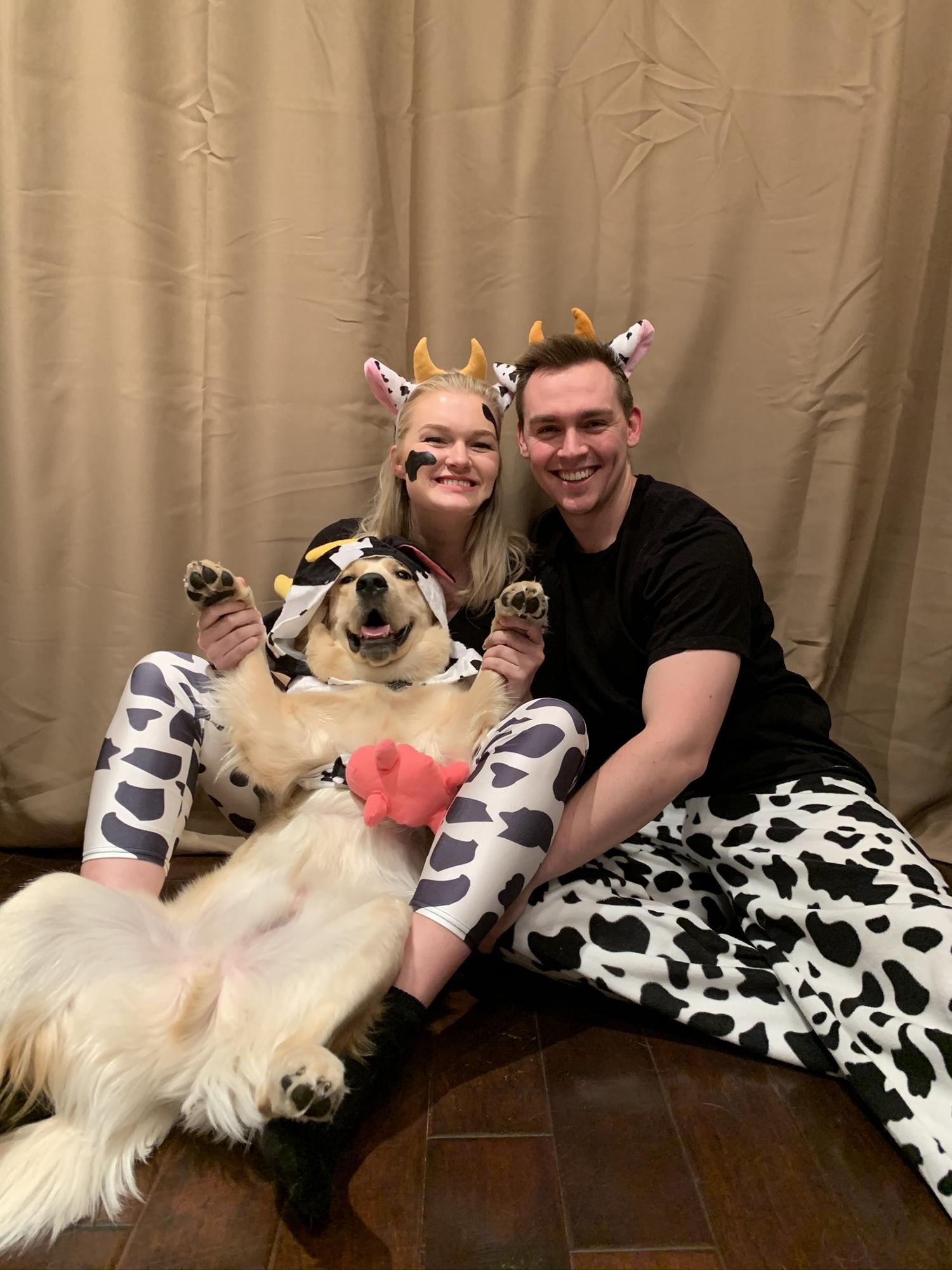 Matching cow costumes for Halloween!