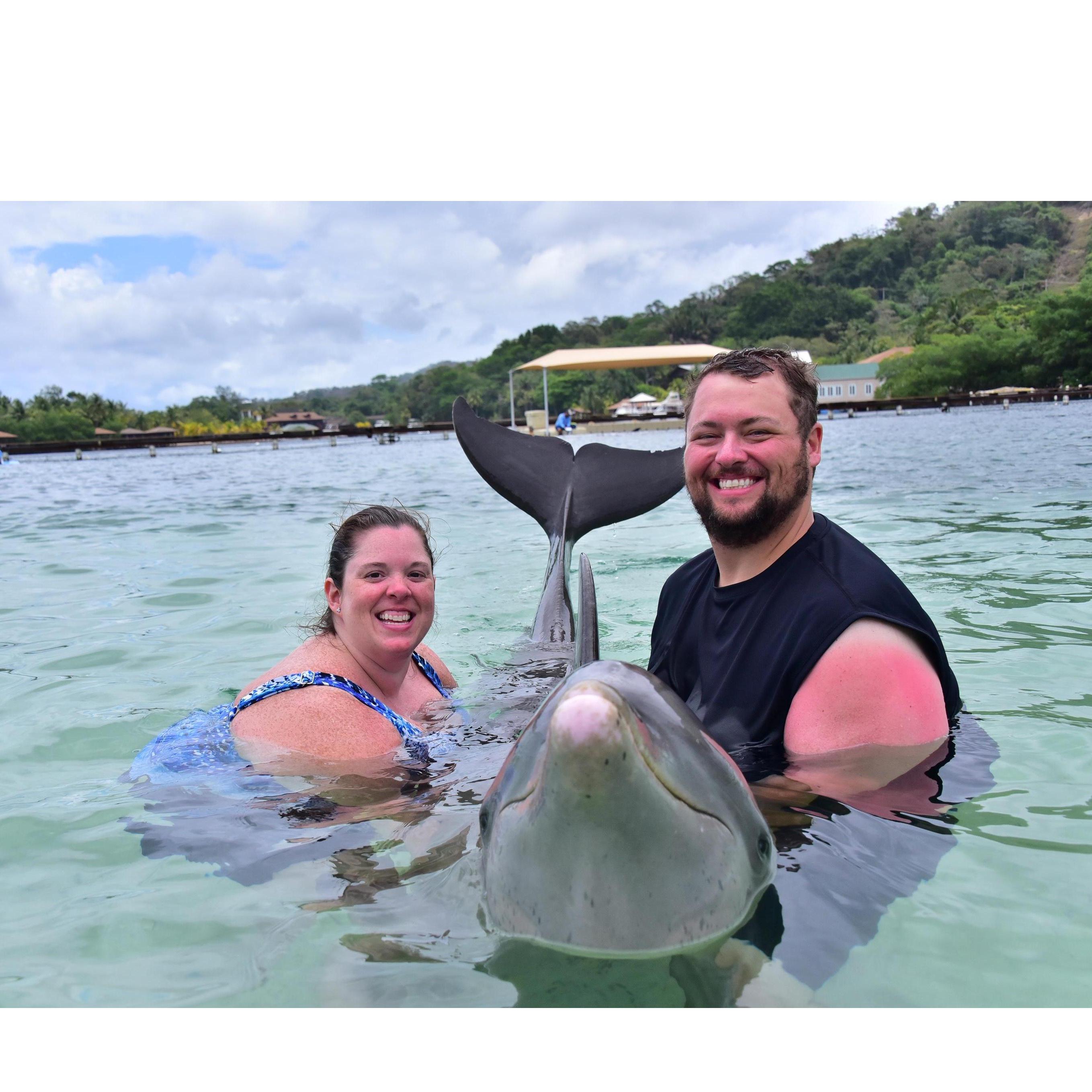 So we met a dolphin named Alita and swam with all of her friends!