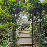 Visit the Phantasea Tropical Botanical Garden