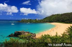 The Wedding Website of Alana Pollack and Jeremy Kanahele