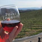 Point Lookout Vineyards