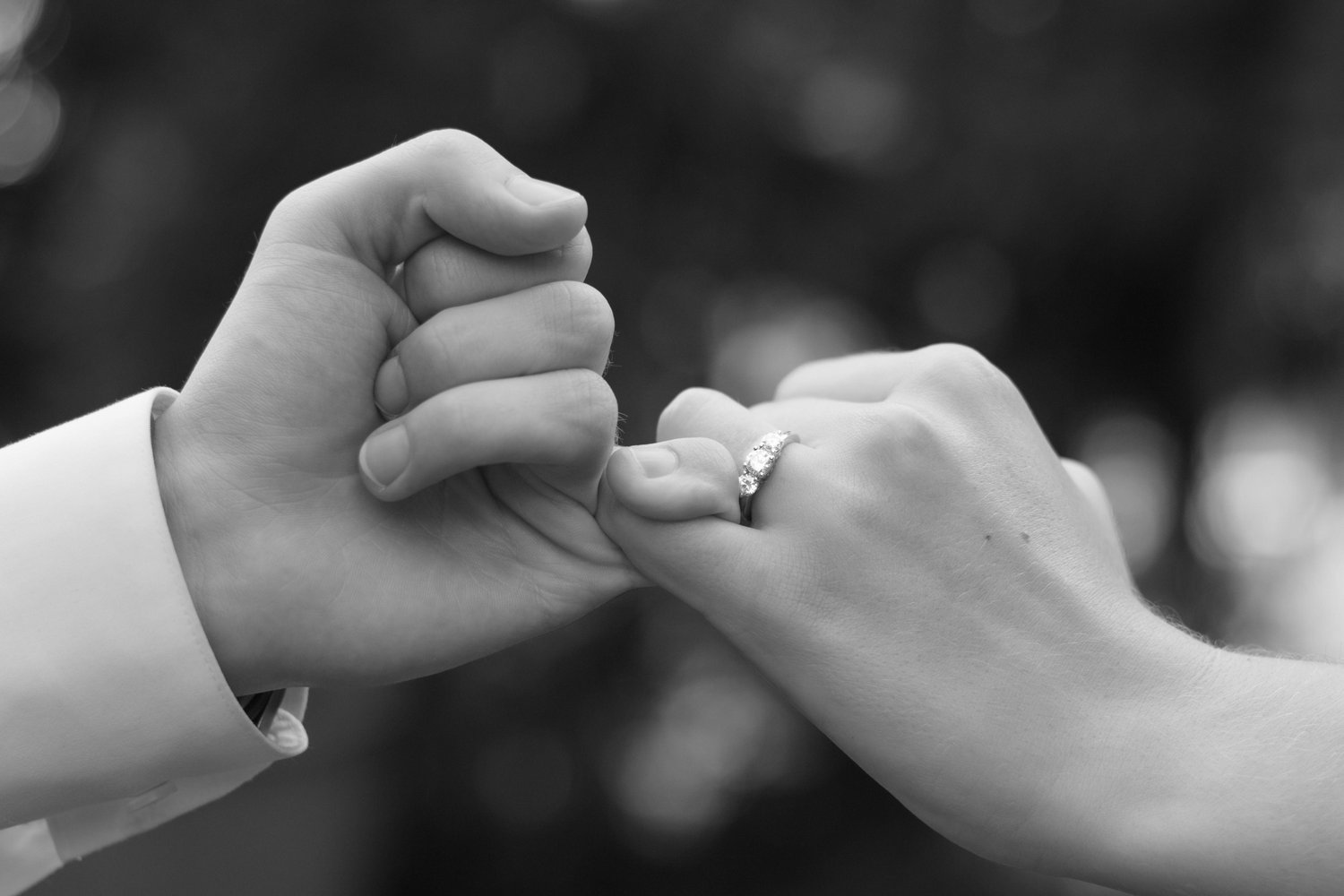 The Wedding Website of Donald Horack and Briana Feland
