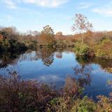 Lord Stirling Park