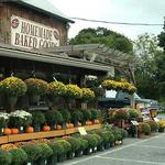 Village Farm Market