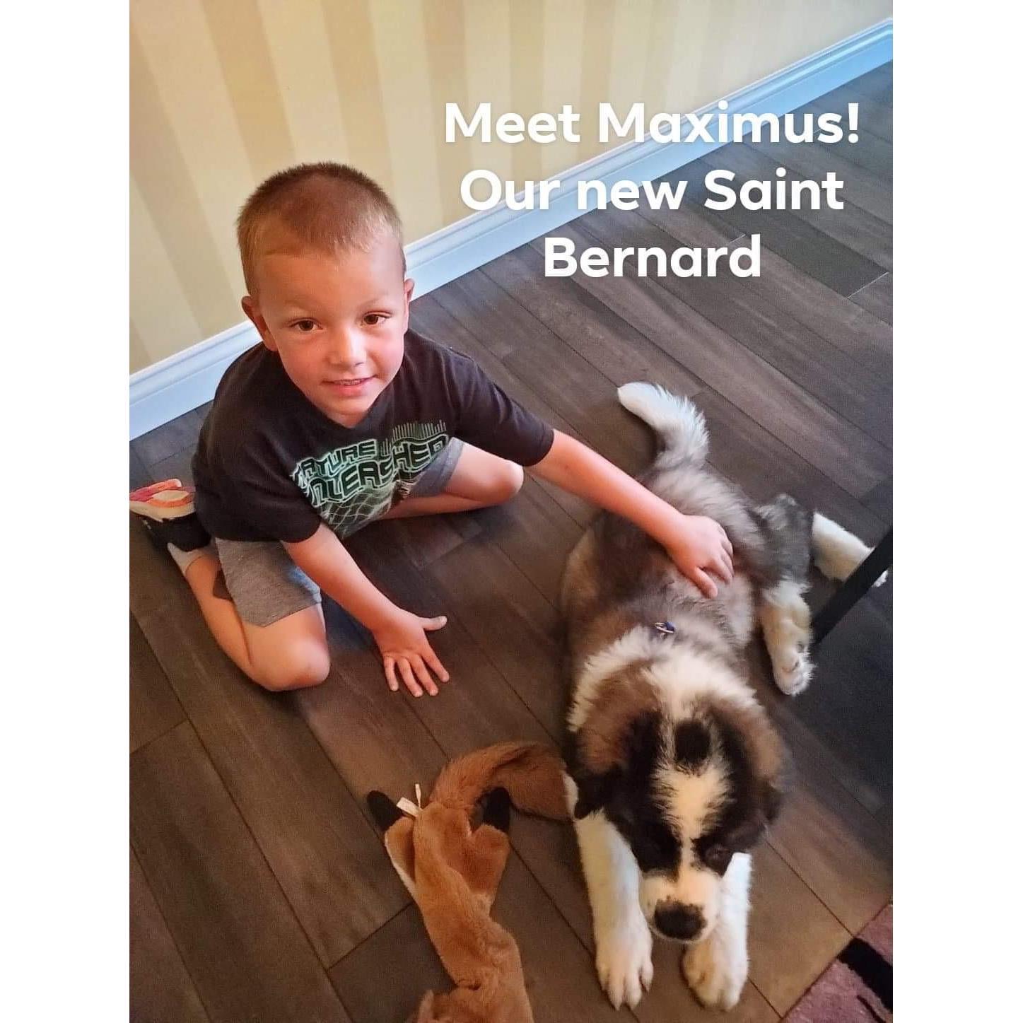 Our first puppy!