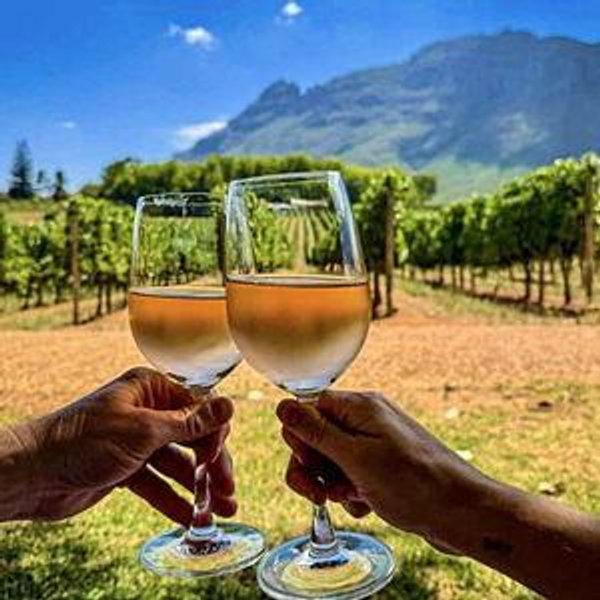 Romantic Honeymoon Wine Tasting