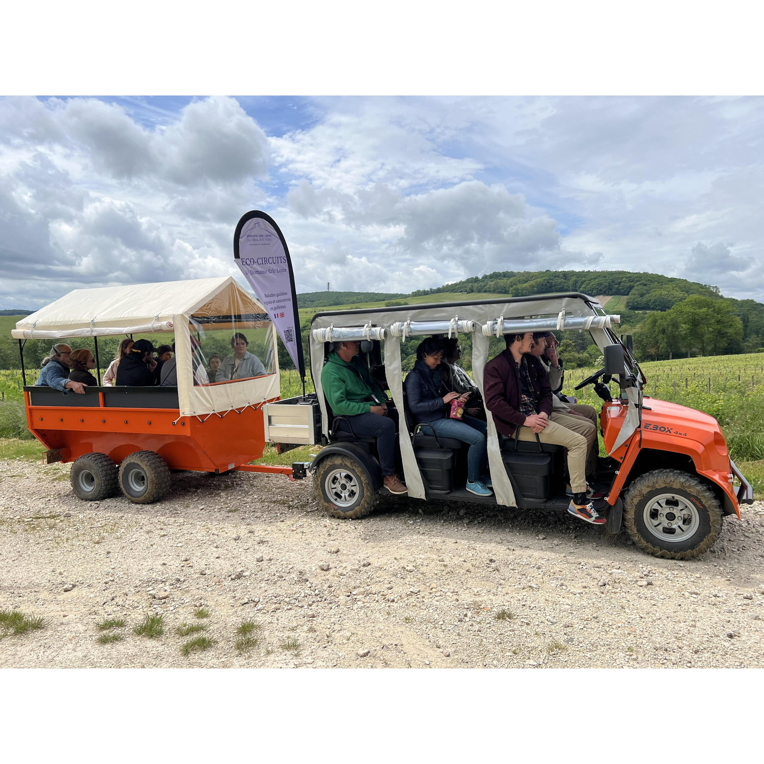 The buggy carts used for the vineyard tour!
