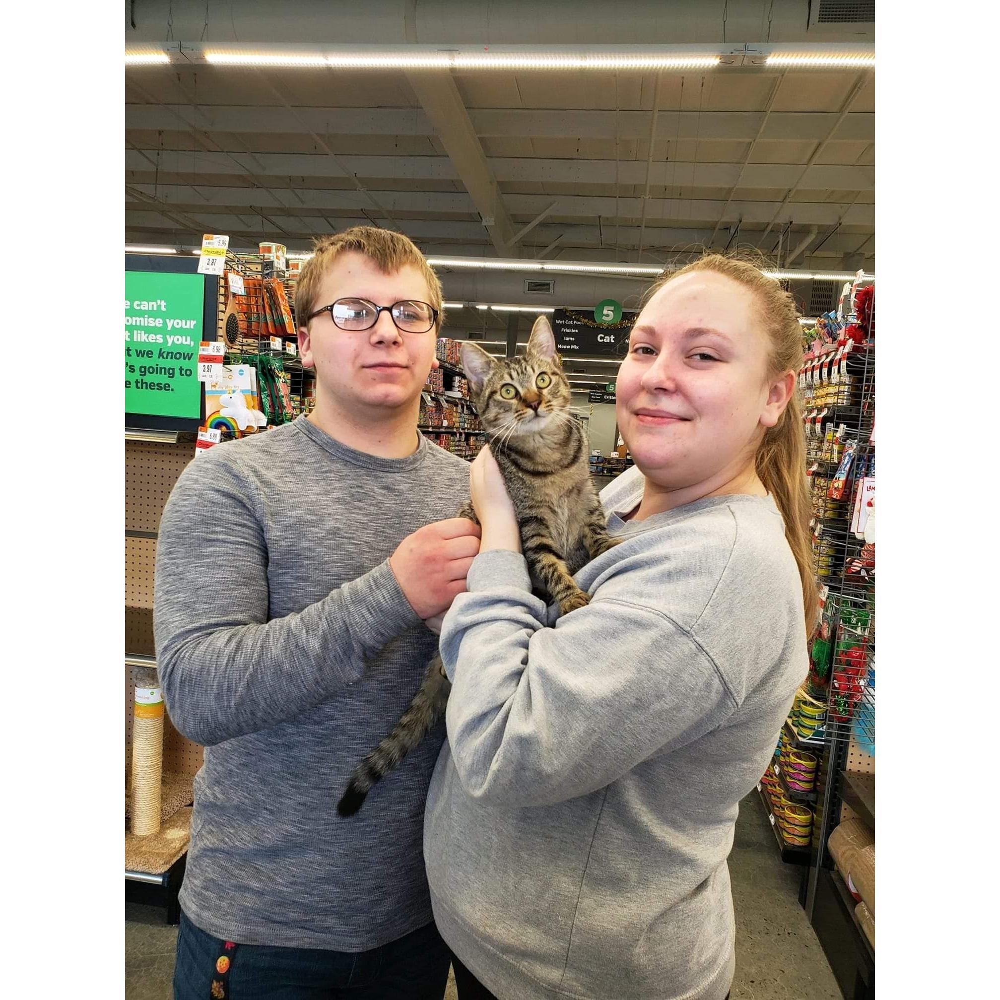 The day we went to the pet store for plants and came home with Ducky