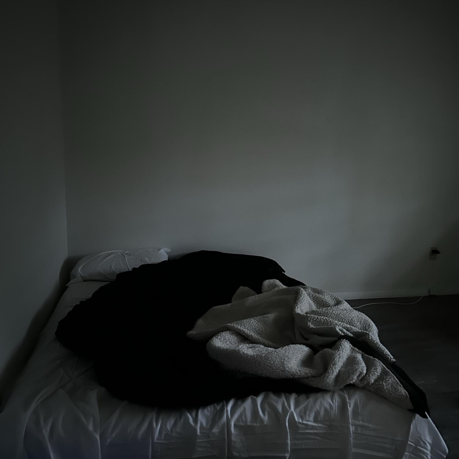Logan and Addison took the leap and moved in together. Sleeping on the floor until they thrifted enough furniture to begin their future! December 2022