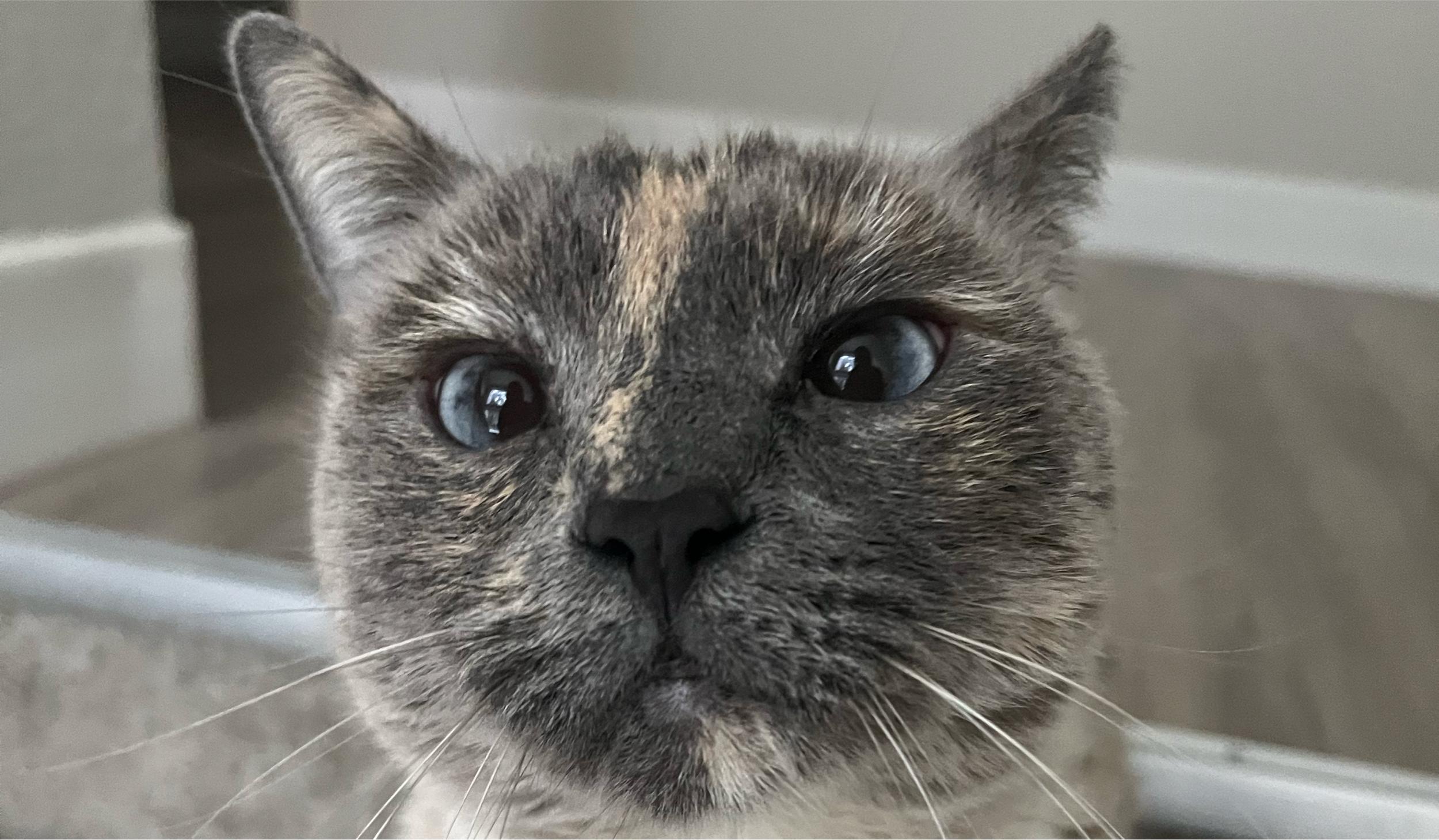 The Wedding Website of Kate Rourke and Drew Riverman