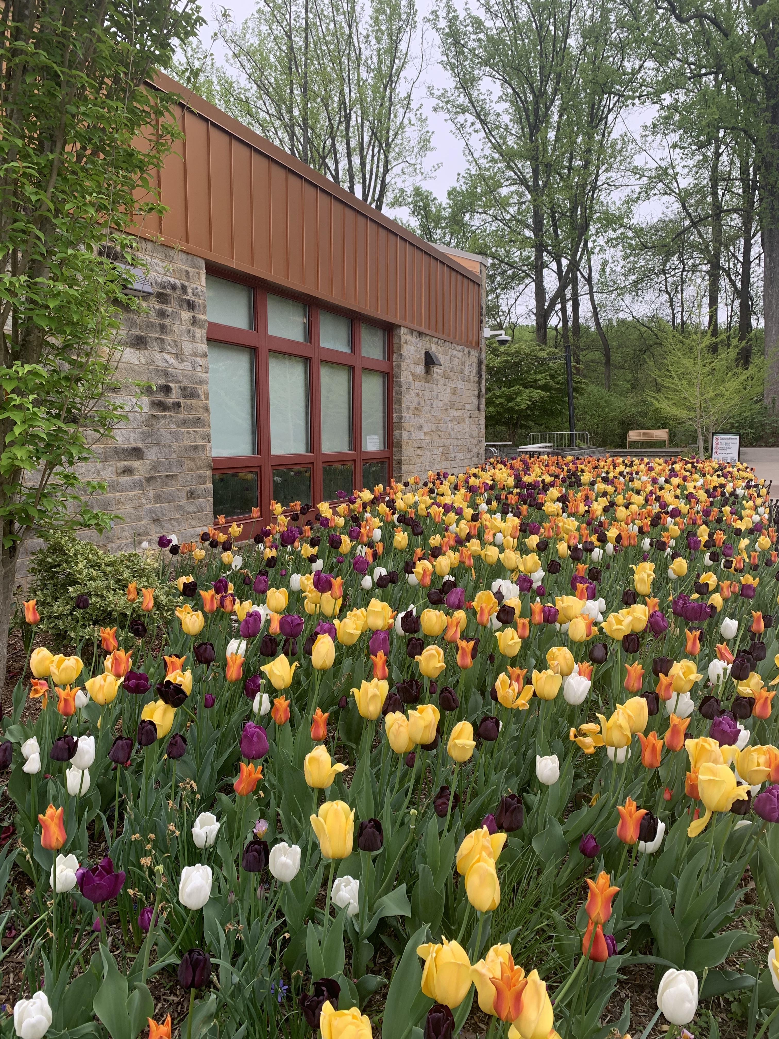 The Wedding Website of Lynne Griffin and Timothy Clune