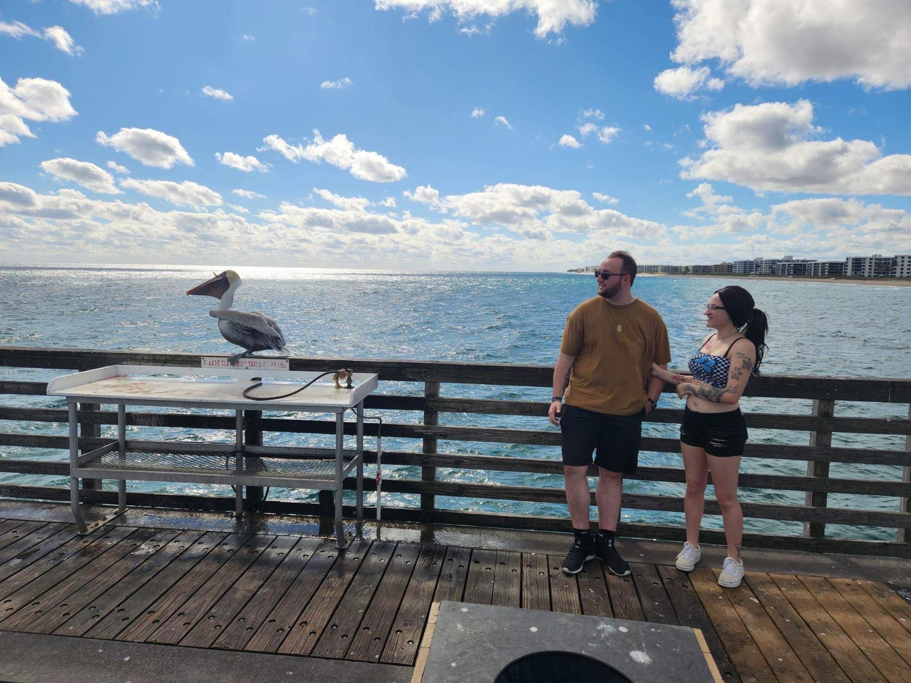 While on their first trip to Palm Beach, Florida, they met a pelican, which they named Felipe!