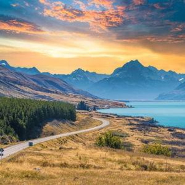 New Zealand Road Trip