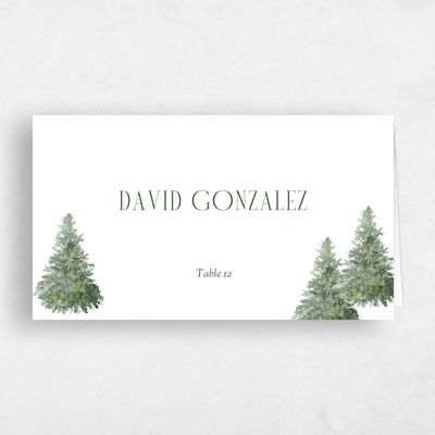 White Winter Wedding Place Card - Balsam