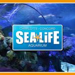 SEA LIFE Charlotte-Concord