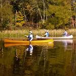 Gifford Pinchot State Park