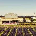 Huff Estates Winery & Inn