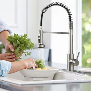 androme Stainless steel Single Handle Deck-mount Kitchen Faucet with Sprayer ( Deck Plate Included )